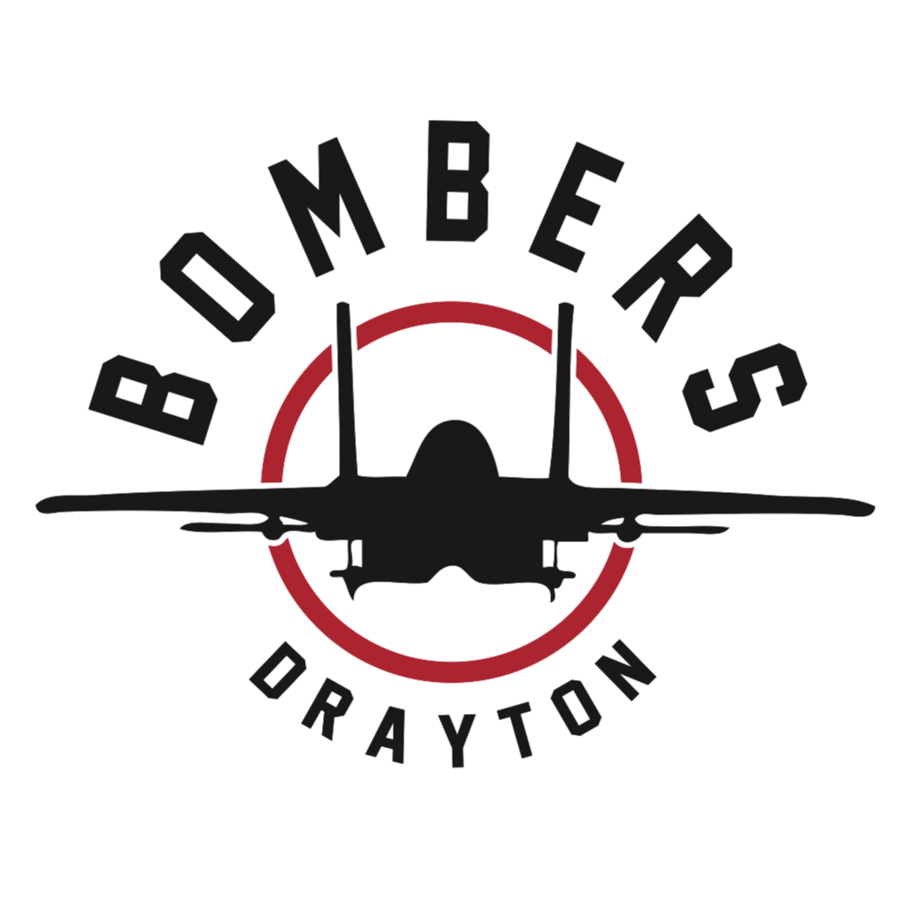 Bomber flying in Sun - Logo